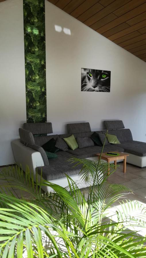 Dorfprozelten Ferienwohnung Froehlich מראה חיצוני תמונה
